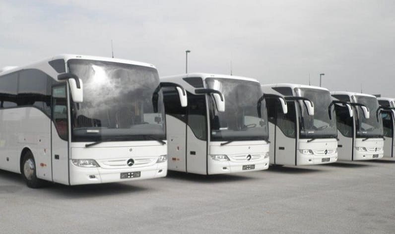 Tuscany: Bus company in Florence in Florence and Italy