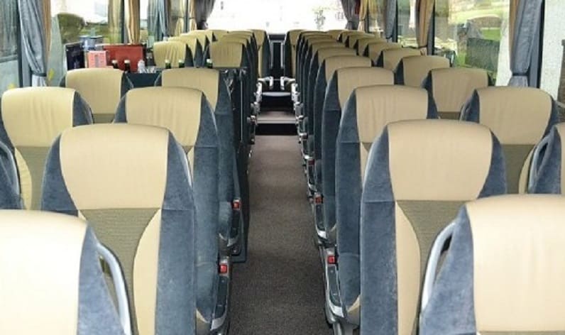 Italy: Coach operator in Veneto in Veneto and Padova